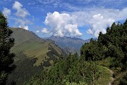 46 Sentiero tra pini mughi ad alto fusto